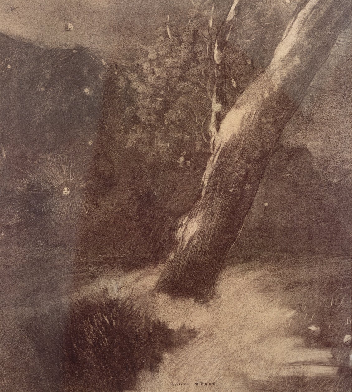 Ağaç ve Yıldızlar (kömür) by Odilon Redon