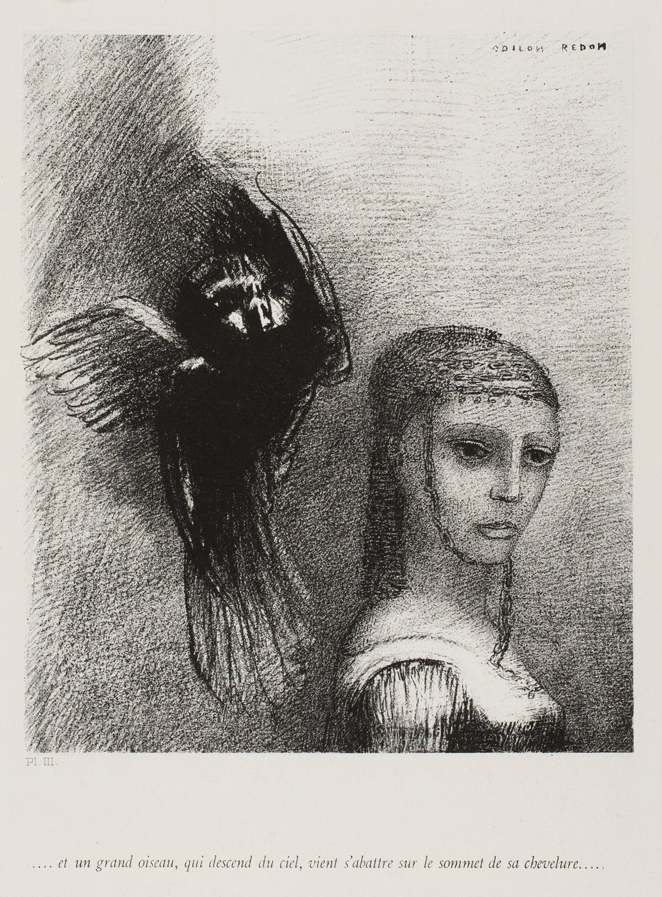 Ve Büyük Bir Kuş Gökten İnerek Saçının En Üst Noktasına Atılıyor, levha 3, 10, 1888 by Odilon Redon