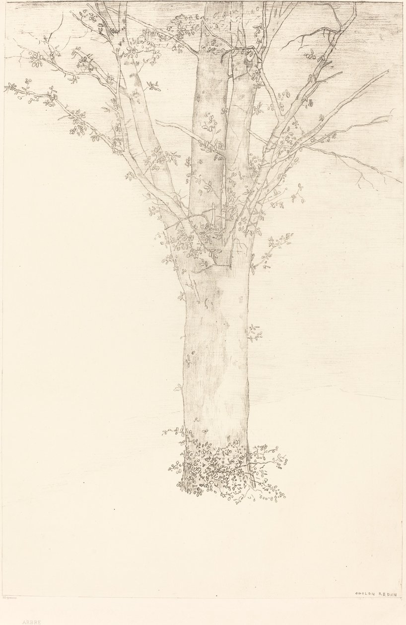 Ağaç by Odilon Redon