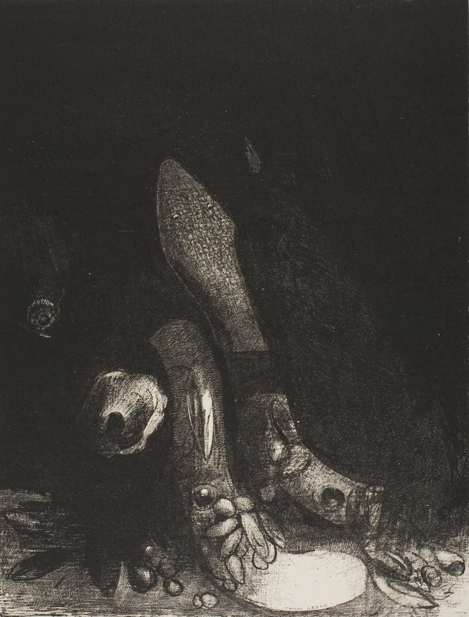 Çiçekler Düşüyor ve Bir Piton Başı Görünüyor, plaka 5 / 24 by Odilon Redon