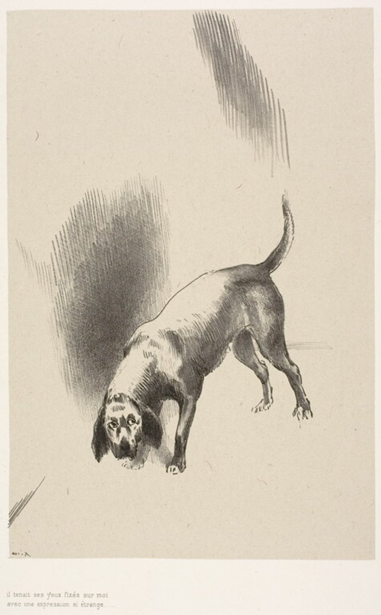  by Odilon Redon