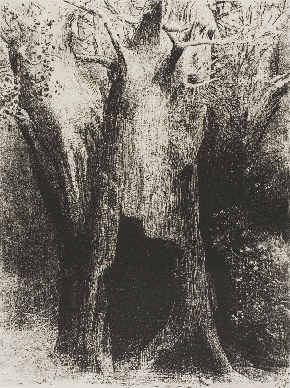 Yalnızlığa Daldım. Arkamdaki Ağaçta Yaşadım, plaka 9 / 24 by Odilon Redon
