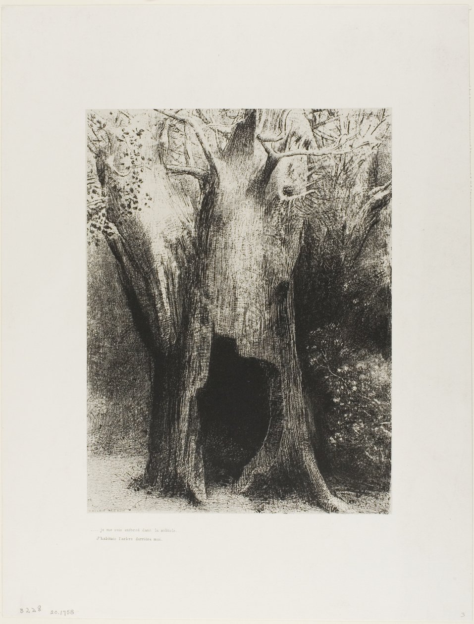 Yalnızlığa Daldım. Arkamdaki Ağaçta Yaşadım, plaka 9 / 24 by Odilon Redon