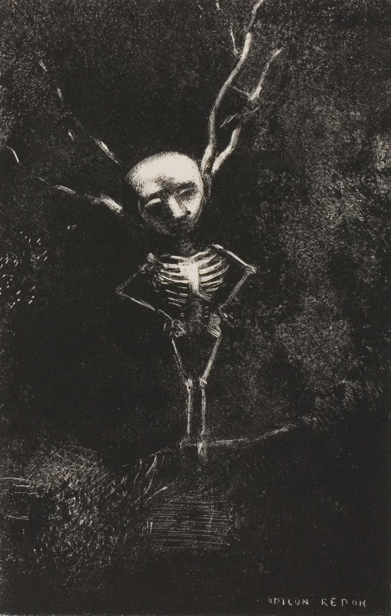 Dallardan Oluşan Labirentte, Soluk Şekil Ortaya Çıktı, levha 2/7 by Odilon Redon