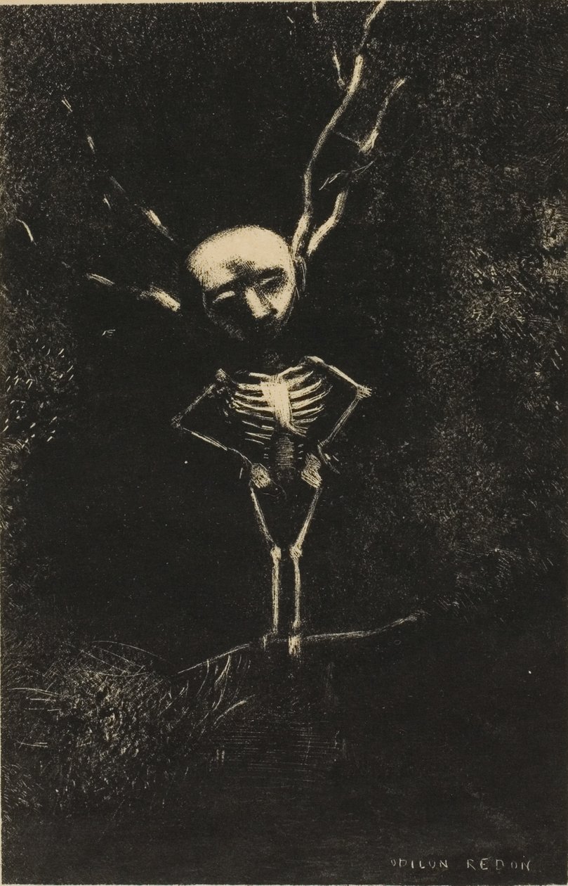 Dallardan Oluşan Labirentte, Soluk Şekil Ortaya Çıktı, levha 2/7 by Odilon Redon