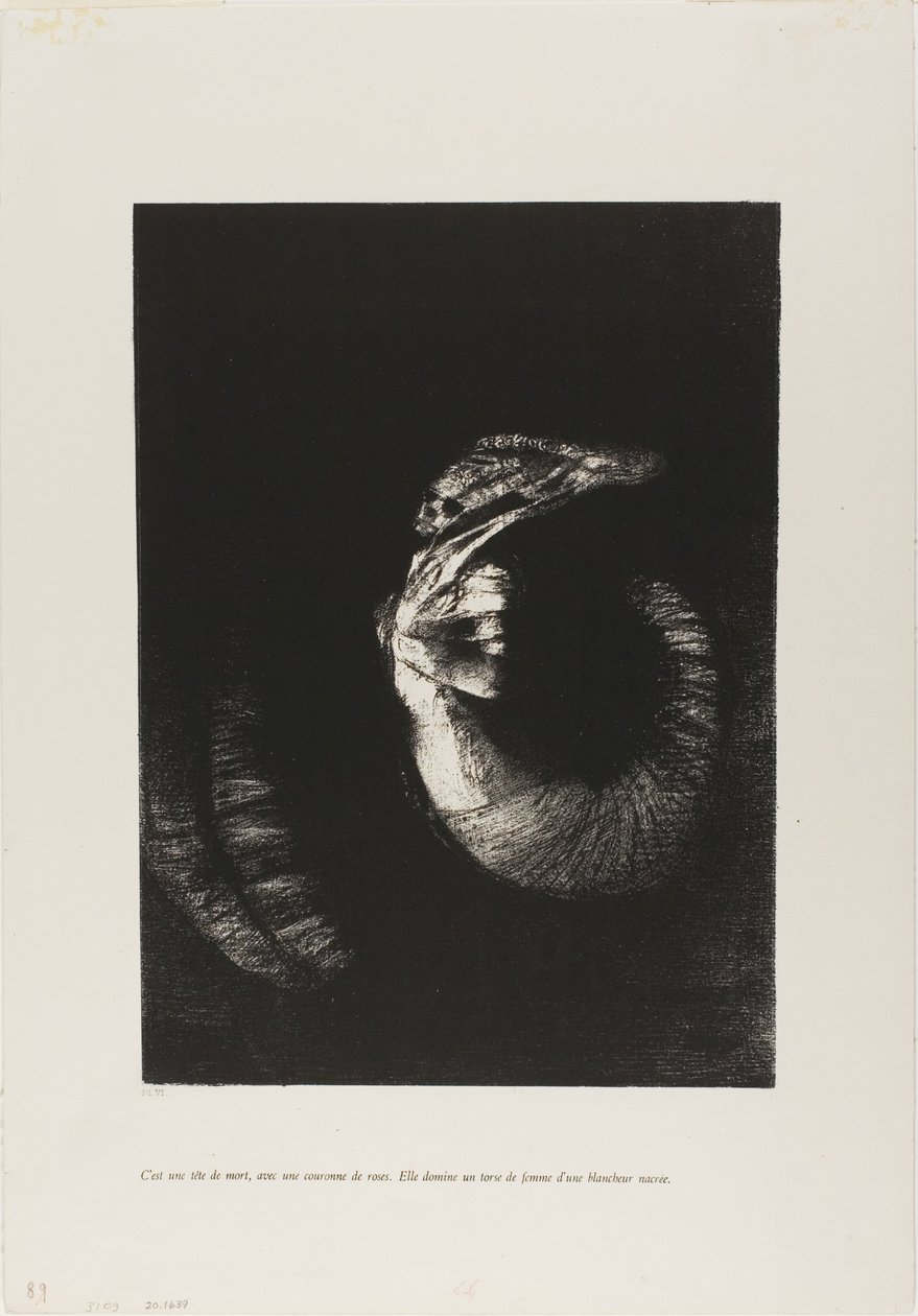 Güllerle Taçlanmış Bir Kafatasıdır... by Odilon Redon