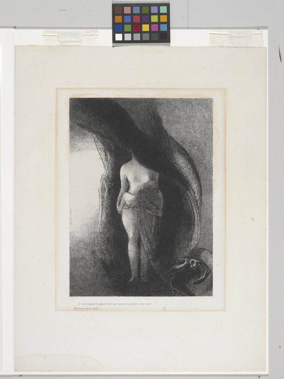 Ben Hâlâ Büyük IŞİD'im! (çine aplikeli kağıt üzerine litografi) by Odilon Redon