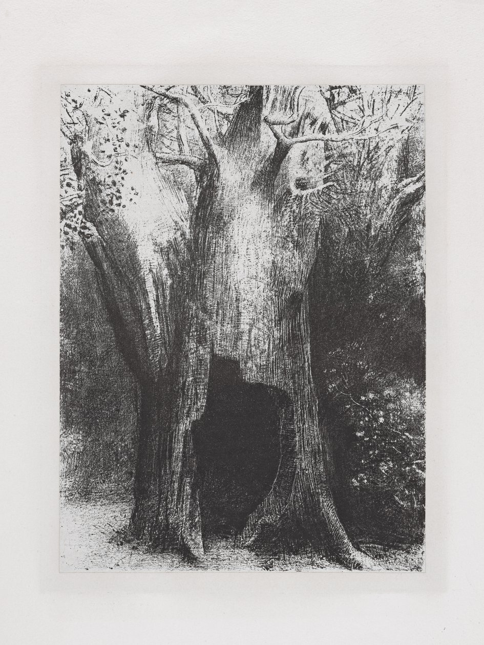 yalnızlığa gömüldüm by Odilon Redon