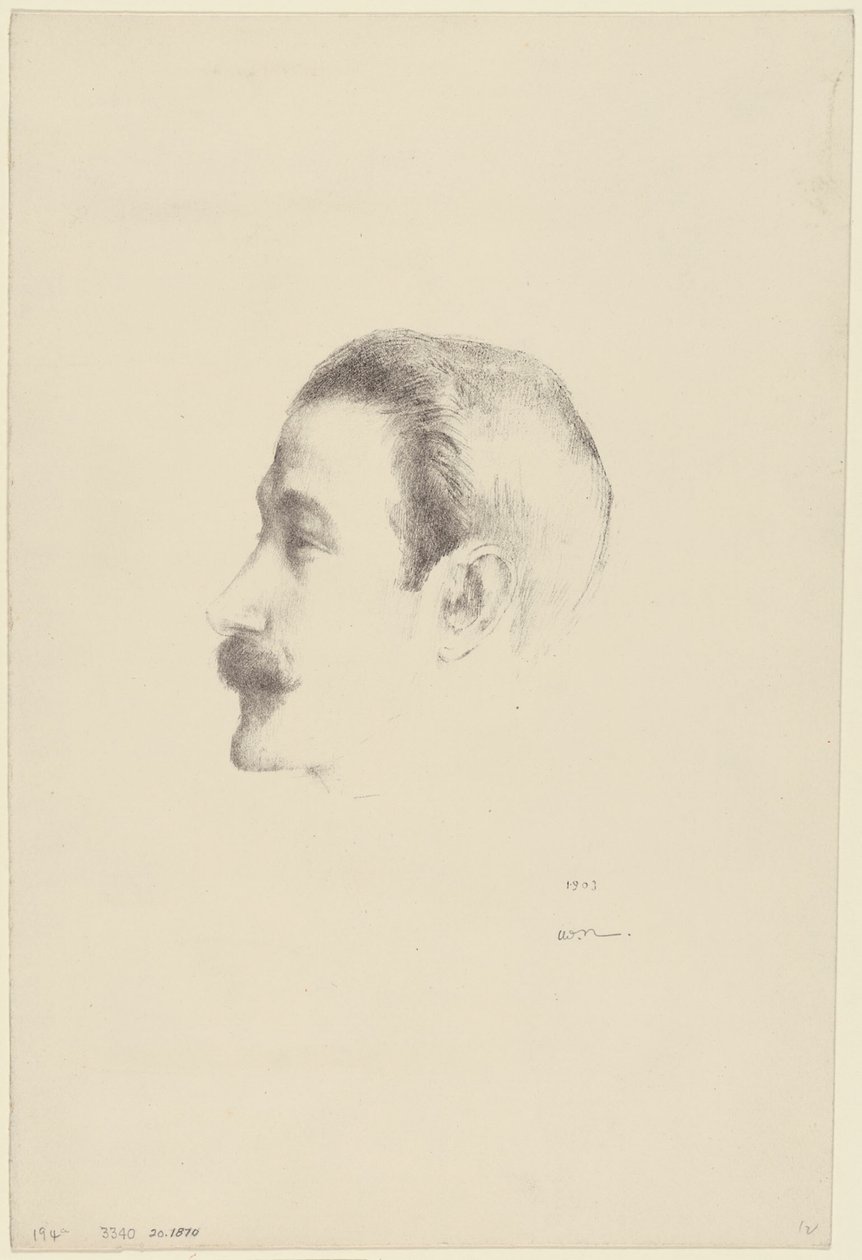 Ricardo Şarapları by Odilon Redon