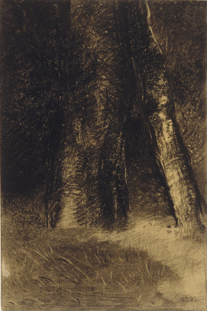  by Odilon Redon