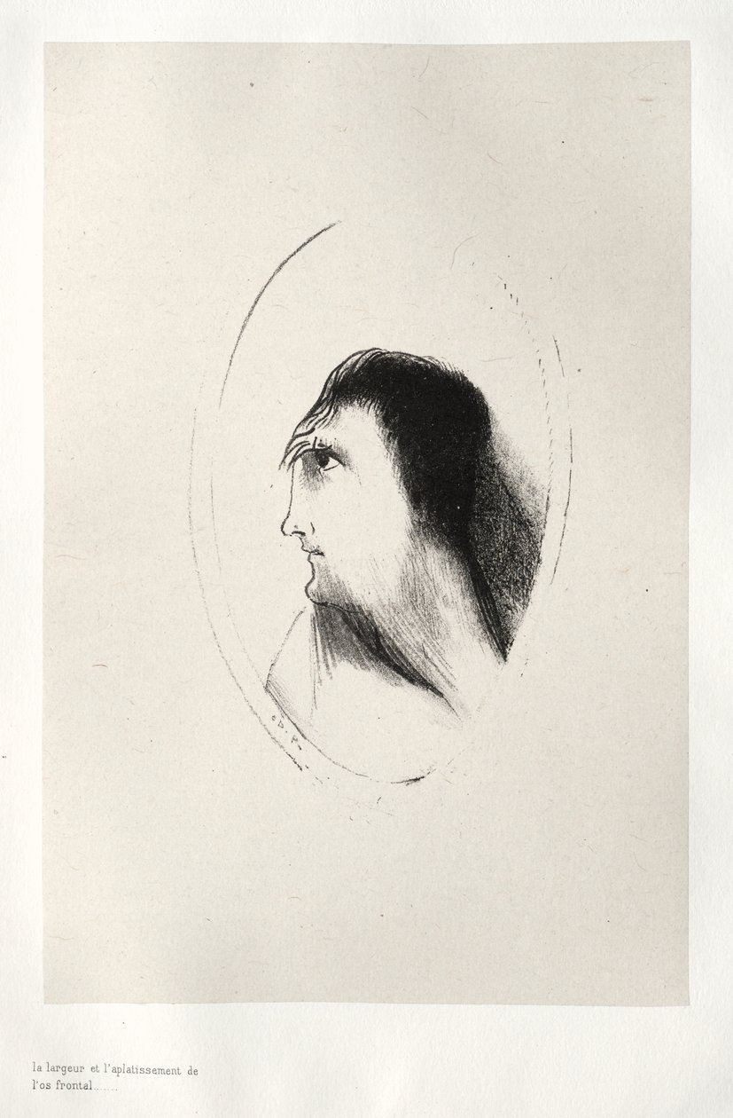 Ön Kemiğin Genişliği ve Düzlüğü by Odilon Redon