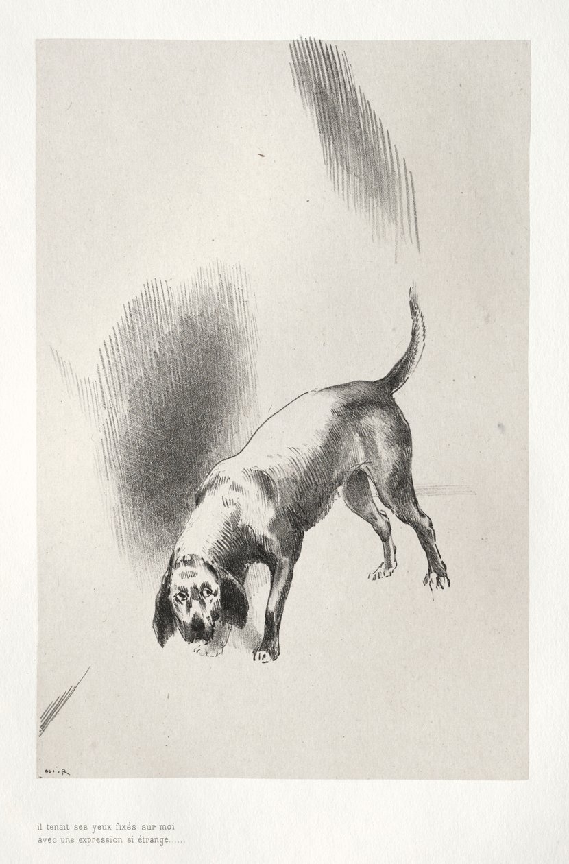 Perili Ev: Çok Garip Bir Bakışla Gözlerini Bana Sabitledi, 1896. by Odilon Redon
