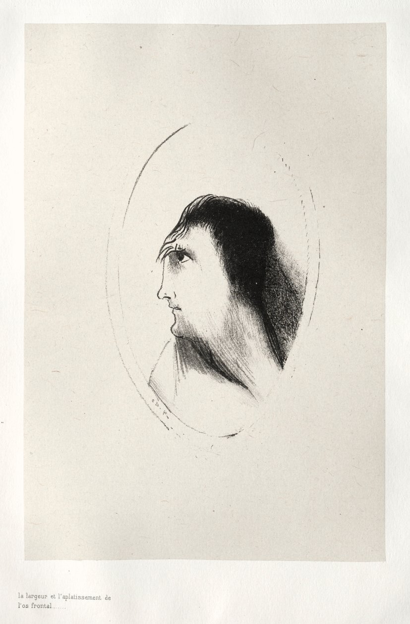Perili Ev: Frontal [Kemiğin] Genişliği ve Düzlüğü, 1896. by Odilon Redon