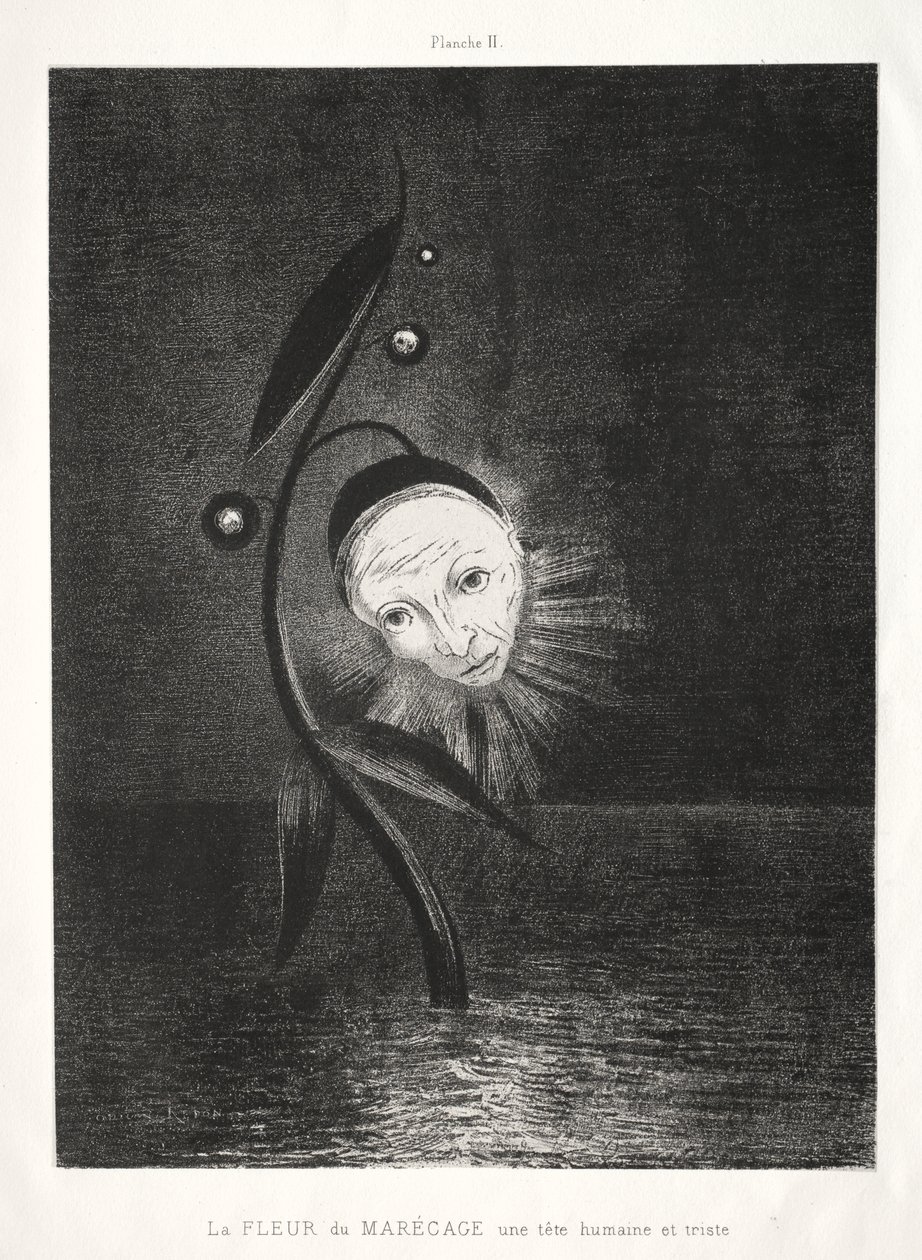 Bataklık Çiçeği, Üzgün Bir İnsan Kafası by Odilon Redon