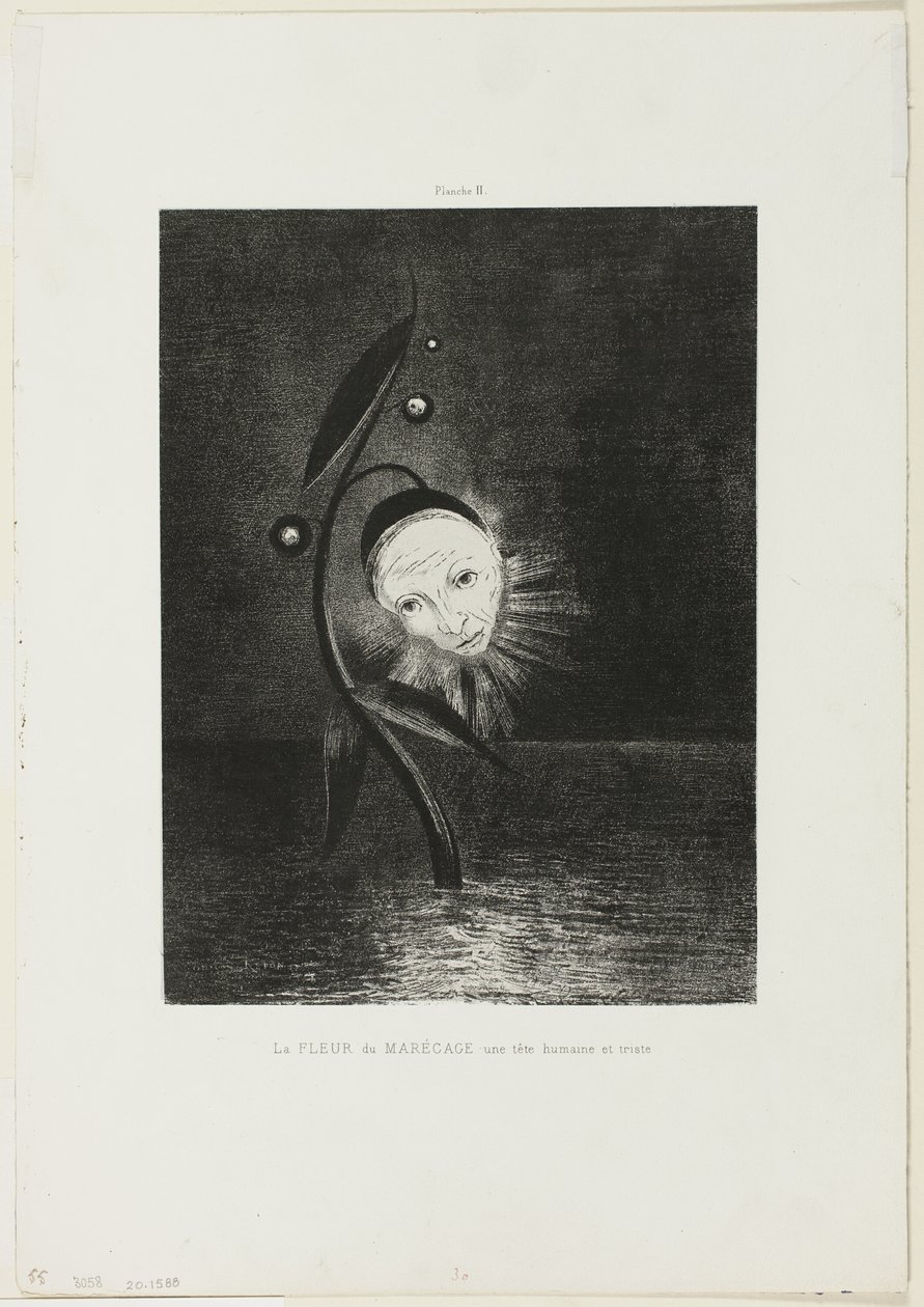 Bataklık Çiçeği, Üzgün Bir İnsan Kafası, plaka 2/6 by Odilon Redon