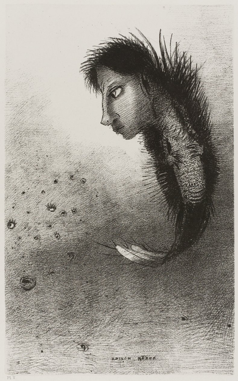 Sonra Tekil Bir Varlık Görünür, Bir Balık Gövdesinde Bir Adamın Başına Sahiptir, levha 5/10 by Odilon Redon