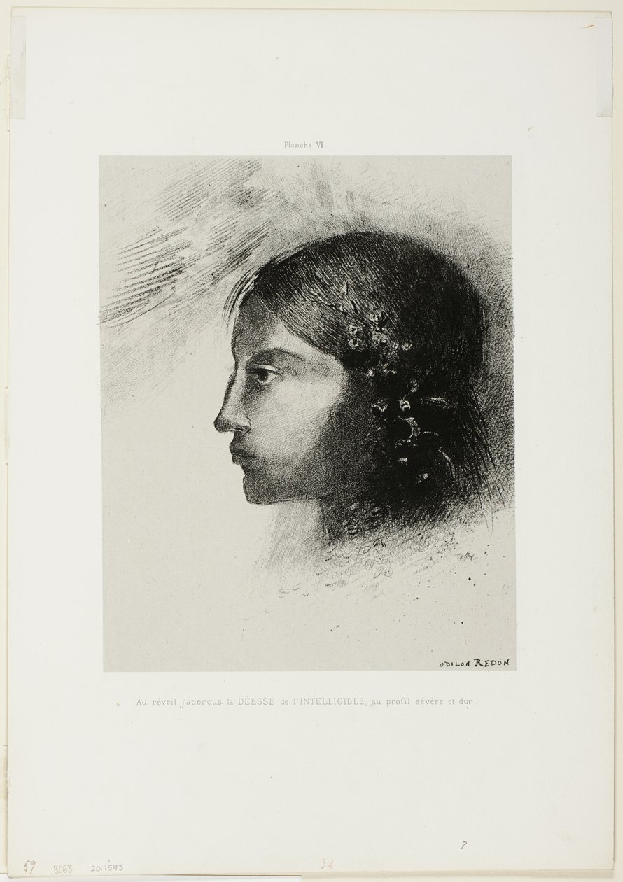 Uyandıktan Sonra Şiddetli ve Sert Profili ile Akıl Tanrıçasını Gördüm, levha 6/6 by Odilon Redon