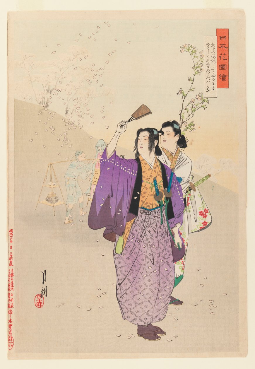 Dandies, Pictures of Flower Gardens, 1893 (tahta blok renkli baskı) serisinden Düşen Kiraz Çiçeklerine Hayran Olur by Ogata Gekko