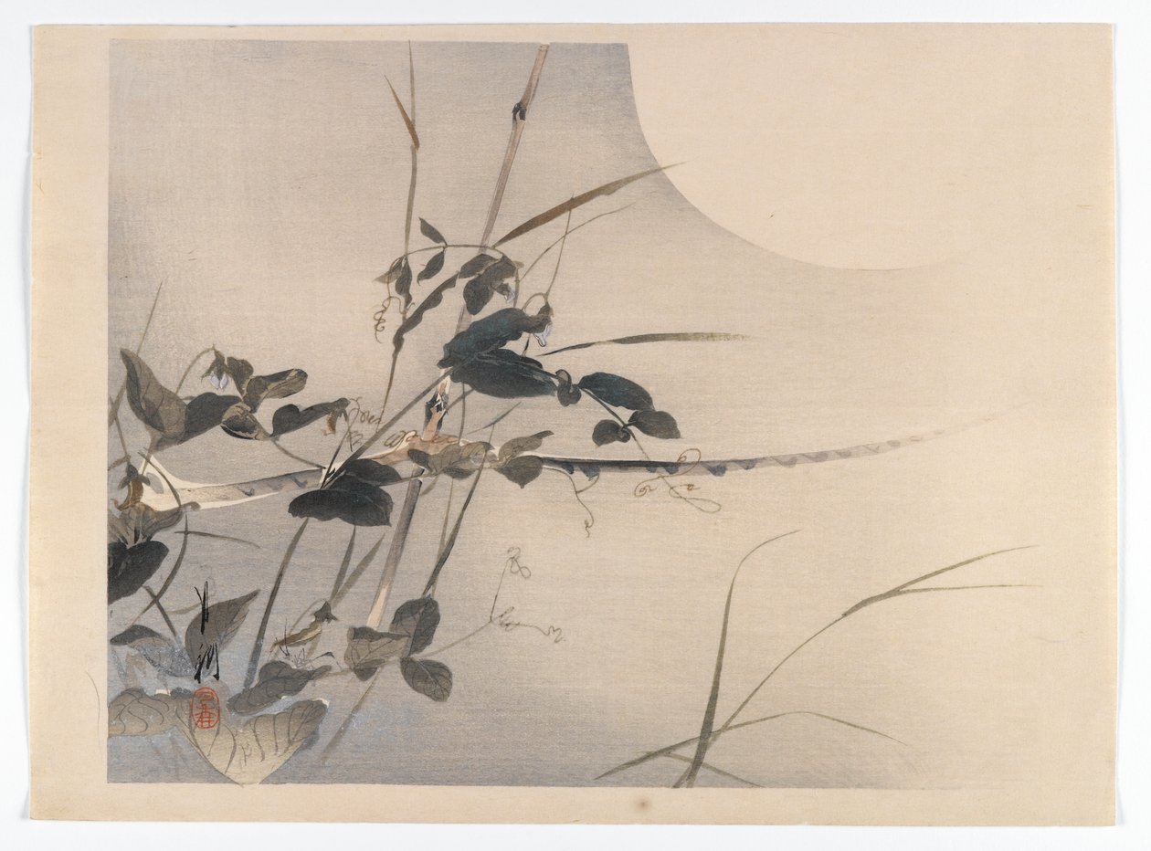 Moon and Foliage, Bird and Flower (Kacho) Book