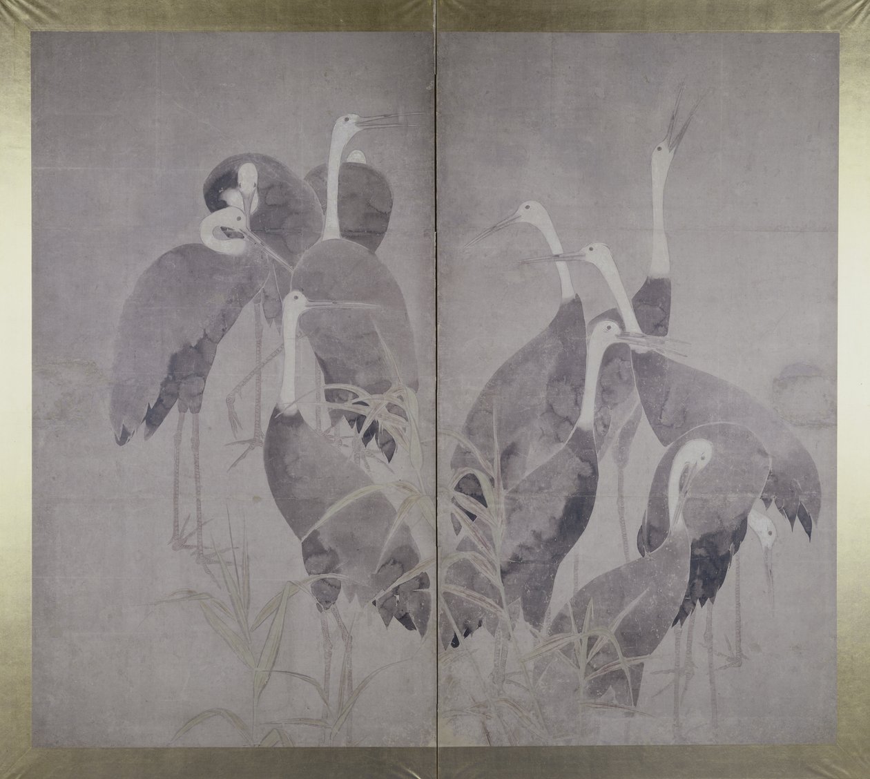 Kuru kamış yatağında duran on bir dişi turna, c.1700-50 (kağıt üzerinde mürekkep ve renkler) by Ogata Korin