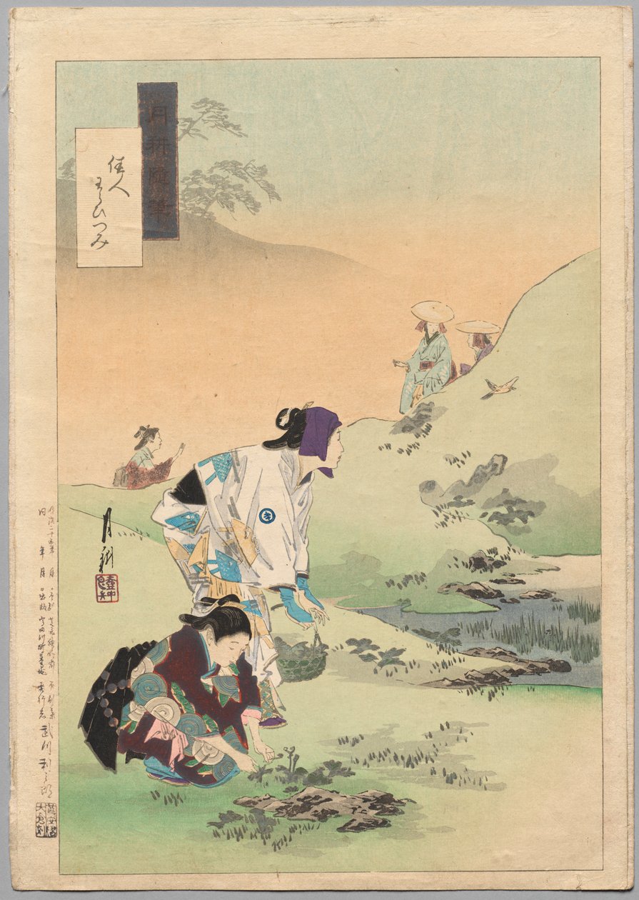 Güzeller Hasat Bracken, Gekkō