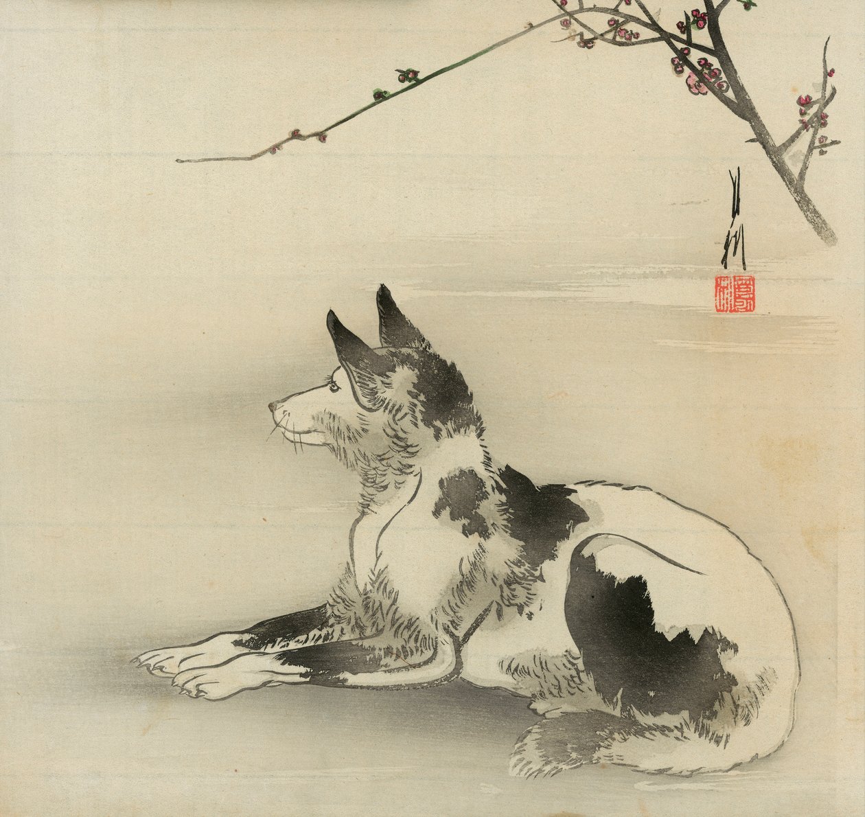 siyah beyaz köpek by Ogata Gekko