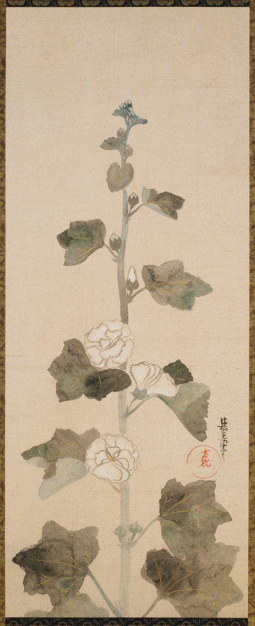 Beyaz gülhatmi, Edo dönemi, 17. yüzyılın sonu - 18. yüzyılın başı. by Ogata Korin