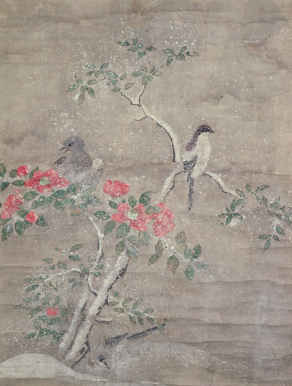 Karda kuşlar ve kamelya, c.1700 (kağıt üzerinde mürekkep ve renkler) by Ogawa Haritsu