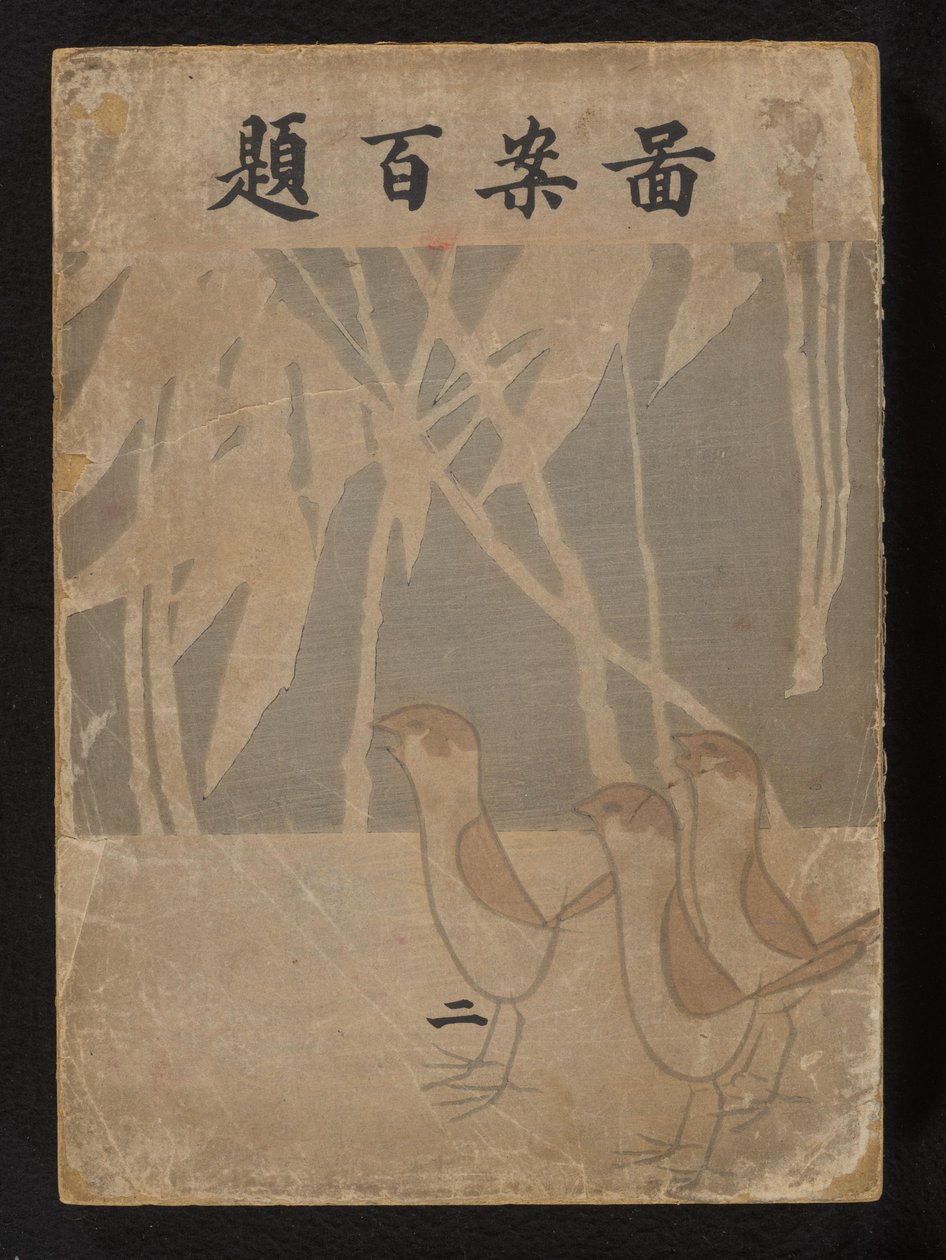 Yüz tasarım - ikinci bölüm Zuan Hyakudai - ni by Ogino Issui
