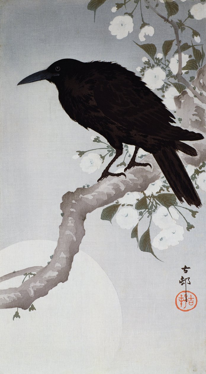 Ay ışığında bir dalda bir Kara Kuş, (renkli tahta baskı) by Ohara Koson