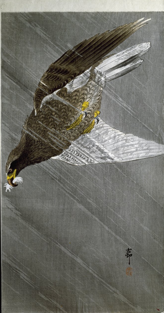 Avına dalan kartal, 1910 by Ohara Koson