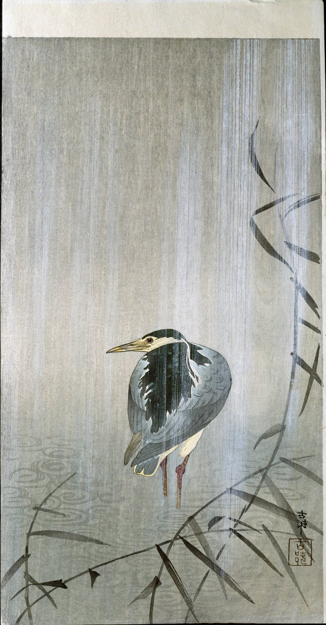 Yağmurdaki Kuş, 1907 by Ohara Koson