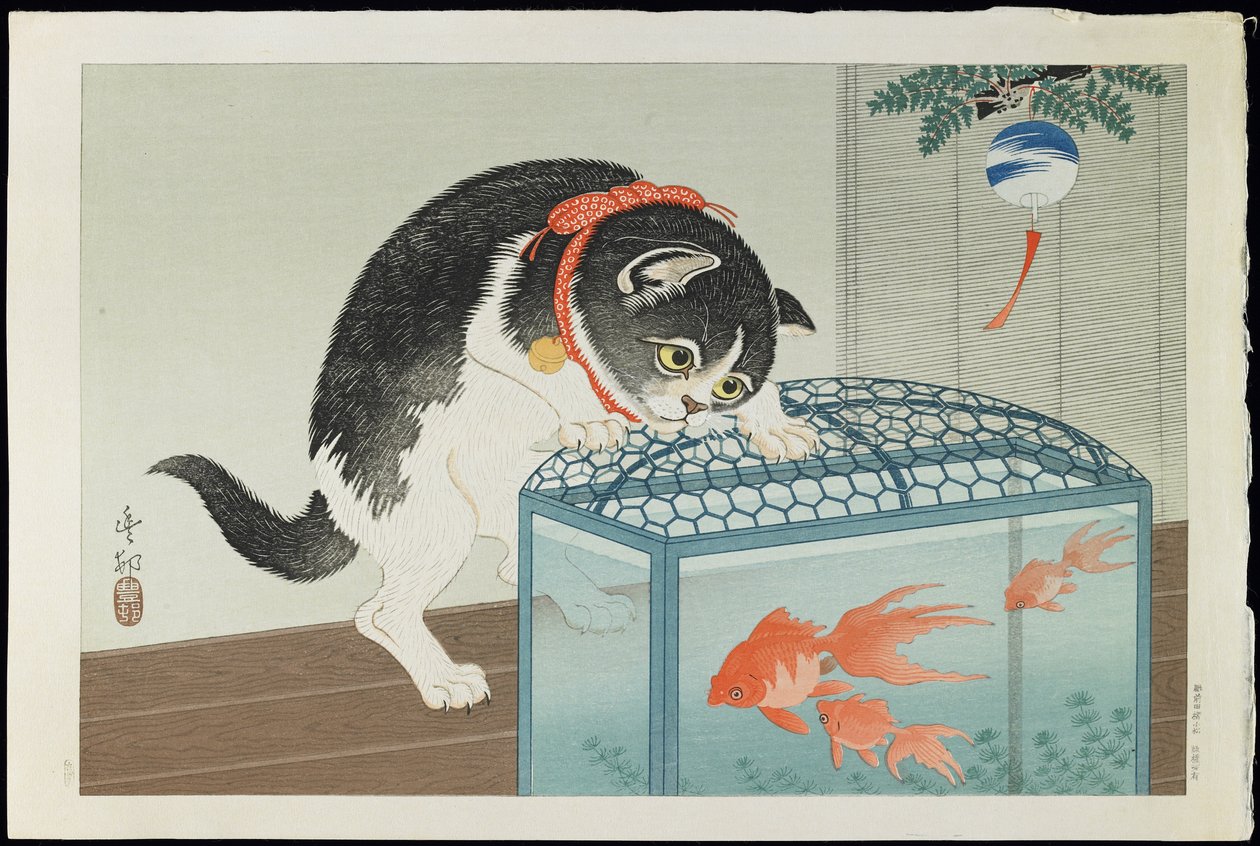 Cat and Goldfish, 1930s (colour woodblock print) by Ohara Koson