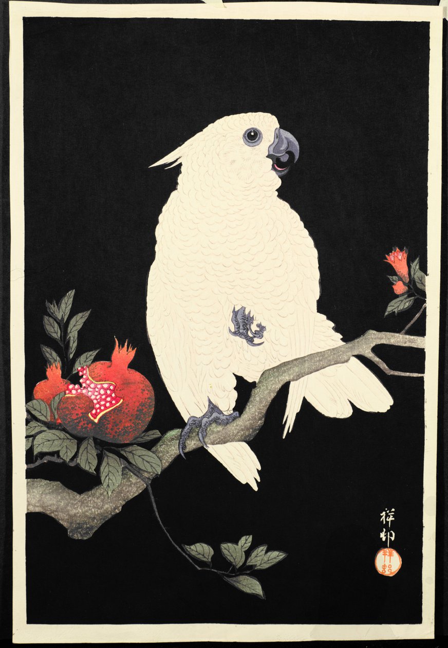 Kakadu ve nar, (renkli tahta baskı) by Ohara Koson
