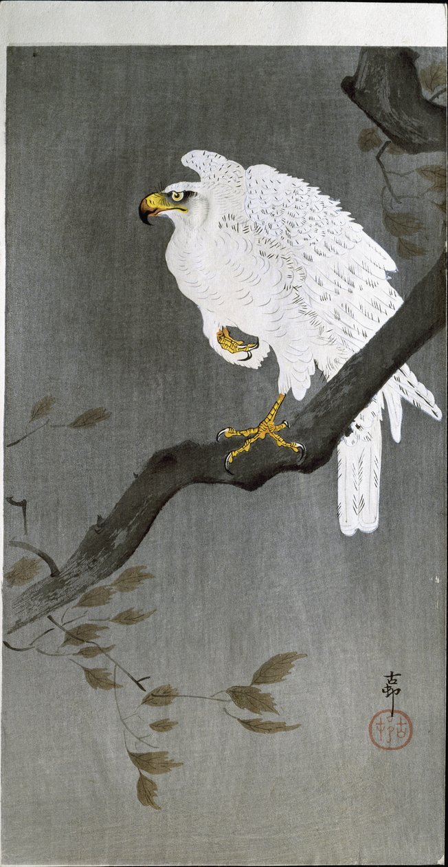 Daldaki Şahin, 1907 by Ohara Koson