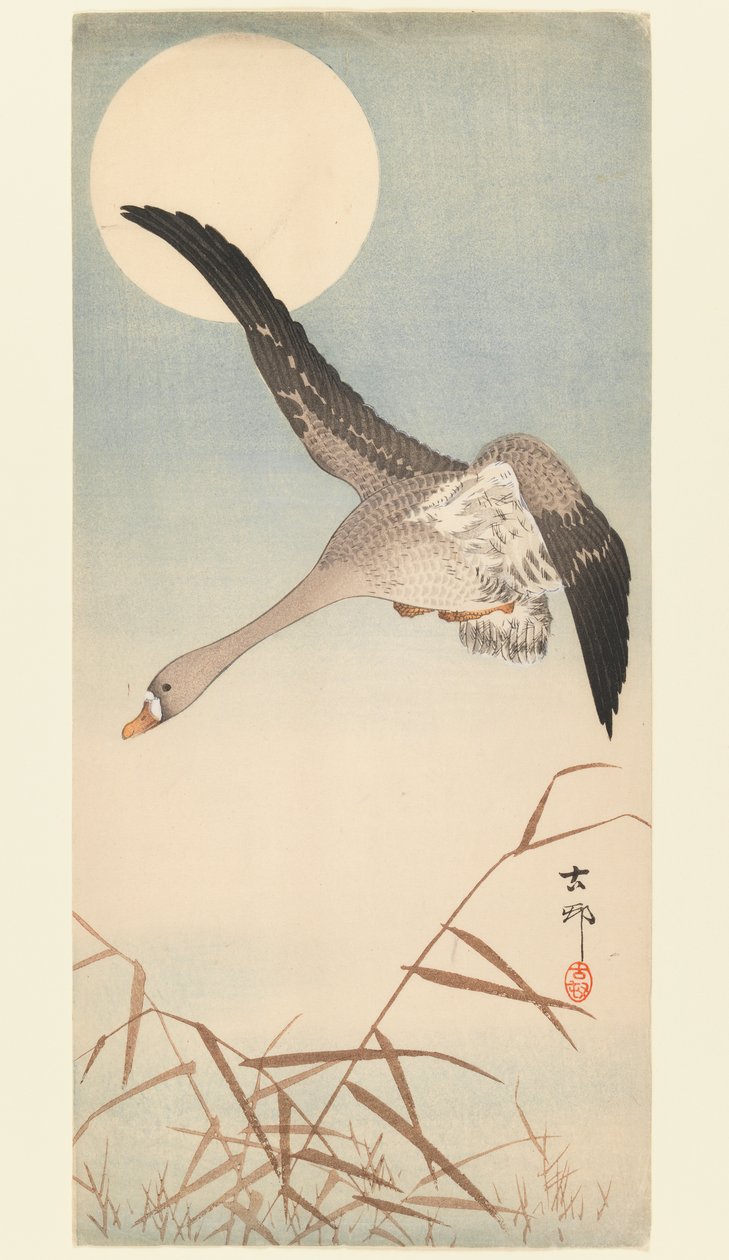 Ay Işığında Uçan Kaz, 1910 dolayları (tahta baskı) by Ohara Koson