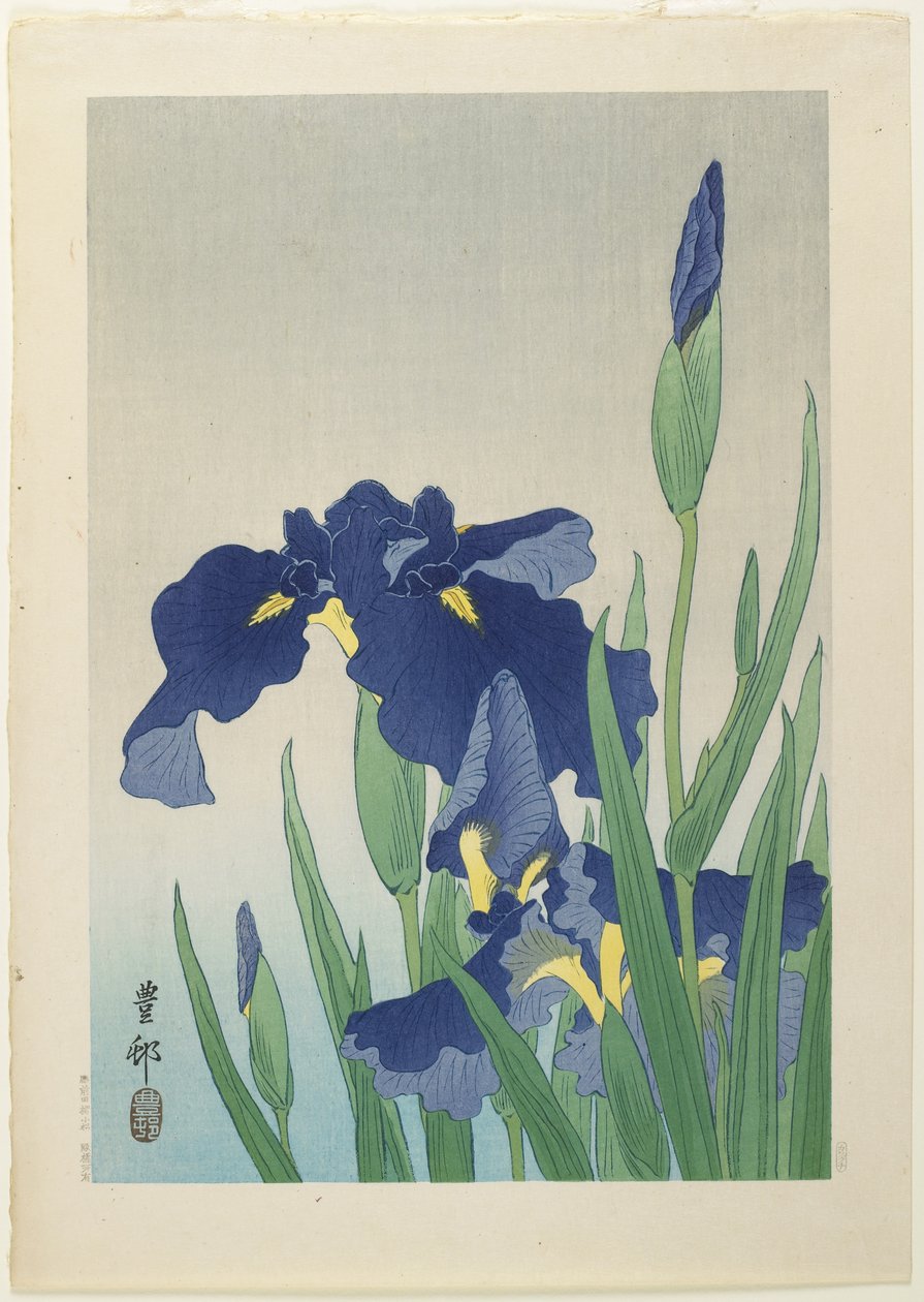 İris, 20. yüzyılın ortalarında by Ohara Koson