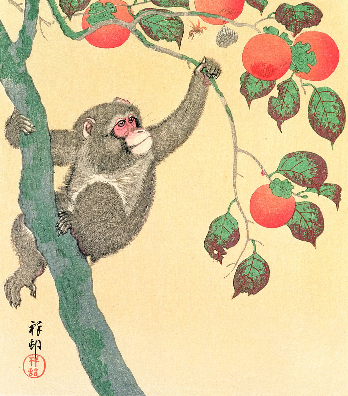 Trabzon Hurması Ağacında Maymun, 1935 (tahta blok renkli baskı) by Ohara Koson