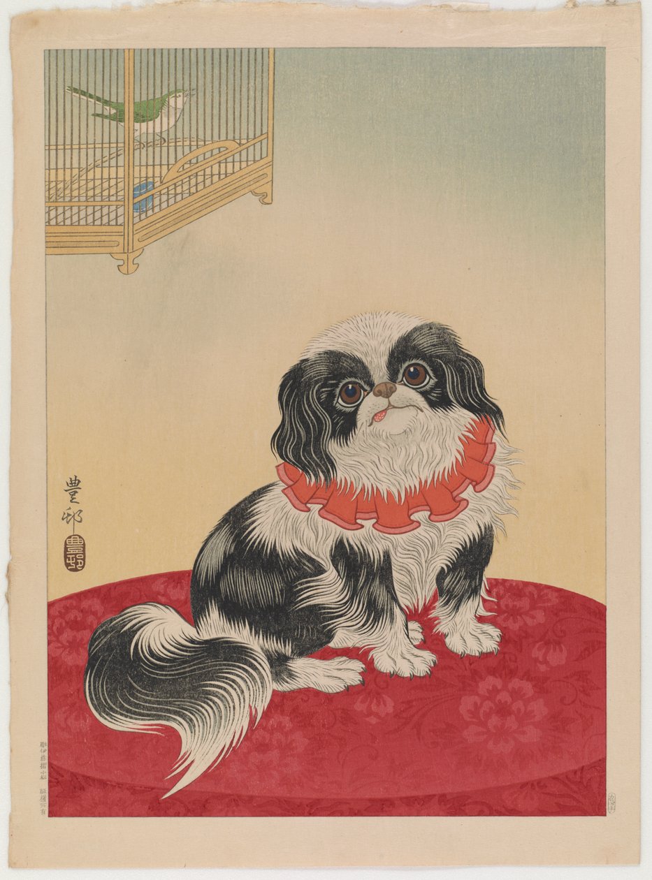 Pekingese köpeği, c.1930 (renkli tahta baskı) by Ohara Koson