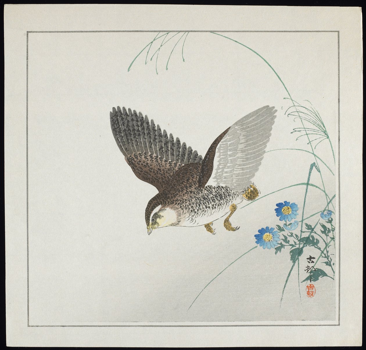 Uçuşta Bıldırcın, 1912 öncesi by Ohara Koson