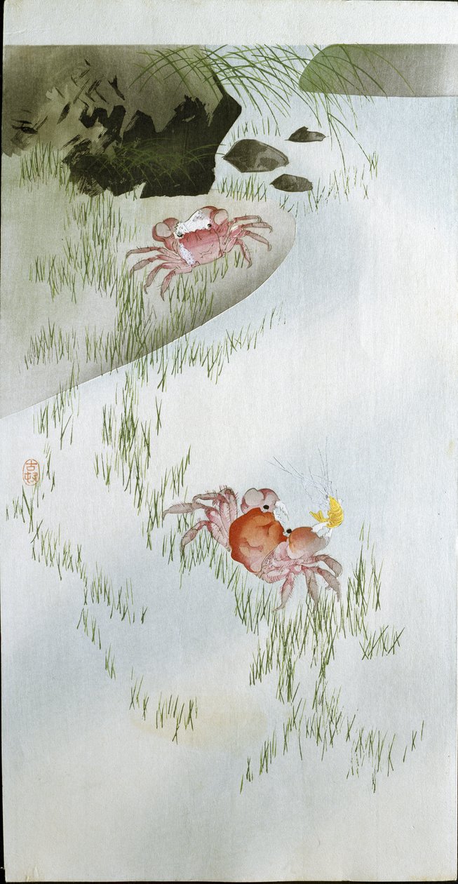Igishushanyo cyumukobwa ukiri muto, Miss Floe, 1863 (pastel kumpapuro) by Ohara Koson