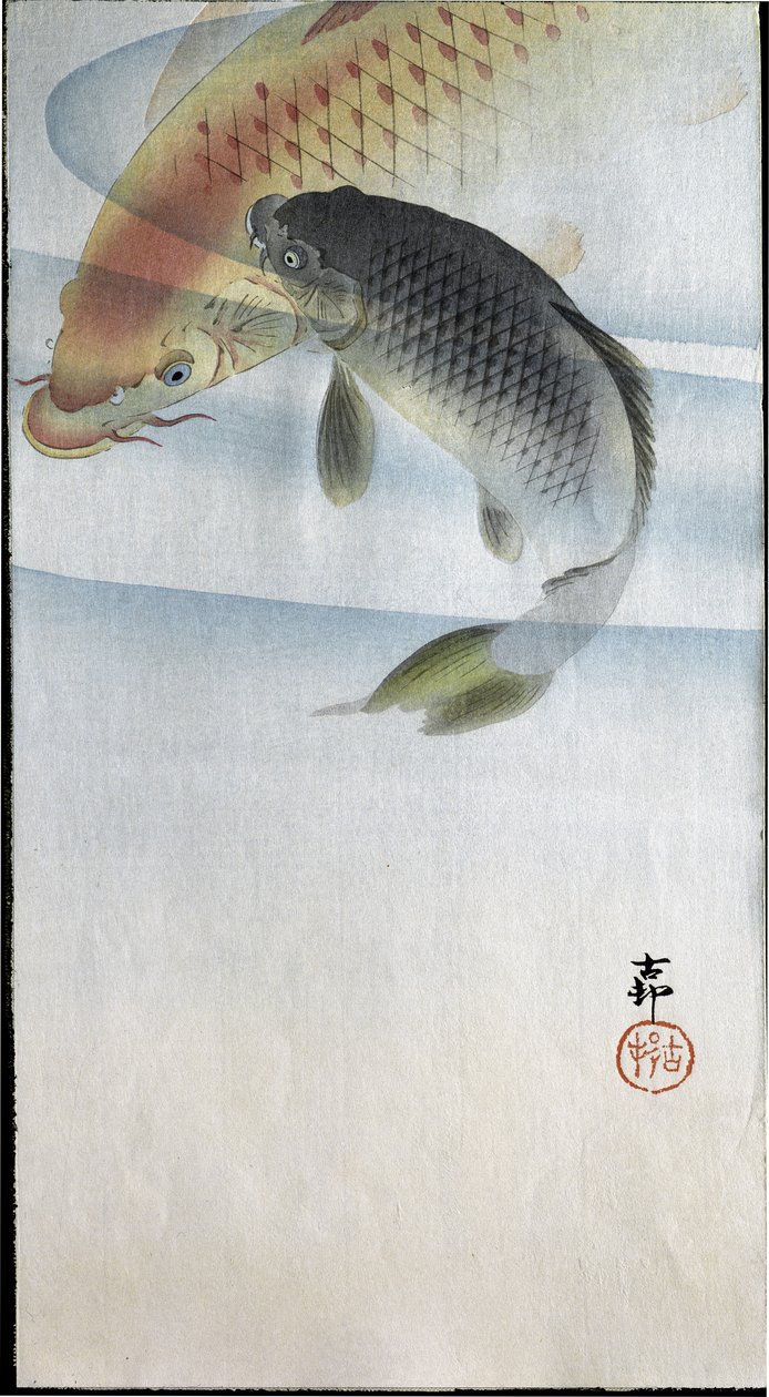 Bir nehirde iki sazan, 1907 by Ohara Koson