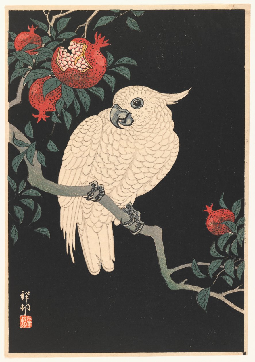 Beyaz Papağan ve Nar, 1927-1989 (tahta baskı) by Ohara Koson
