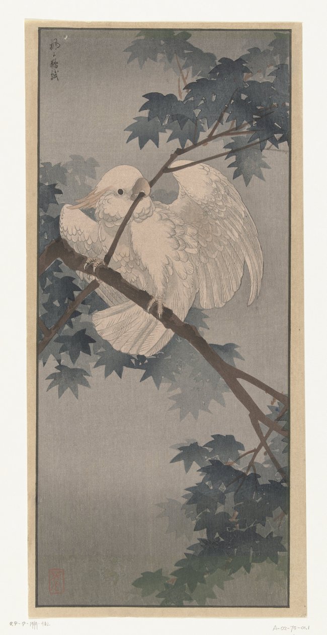 Ağaçta sarı tepeli kakadu by Ohara Koson (attributed to)