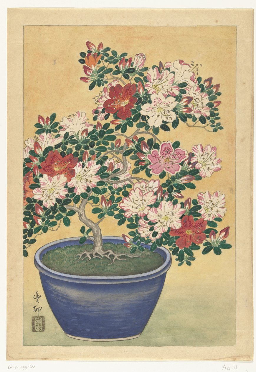 Mavi tencerede çiçek açan açelya by Ohara Koson (signed by artist)