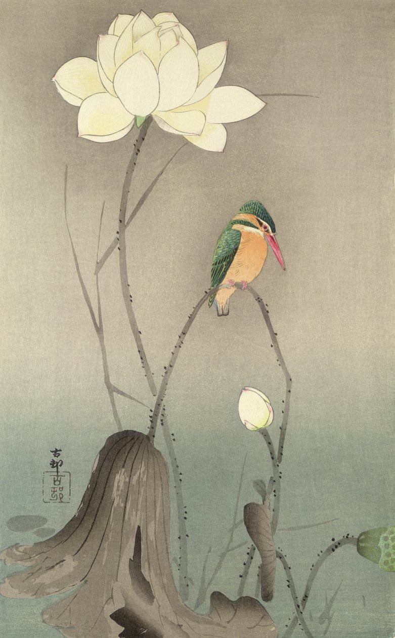 Bir Kingfisher ve bir nilüfer, c.1910, by Ohara Koson