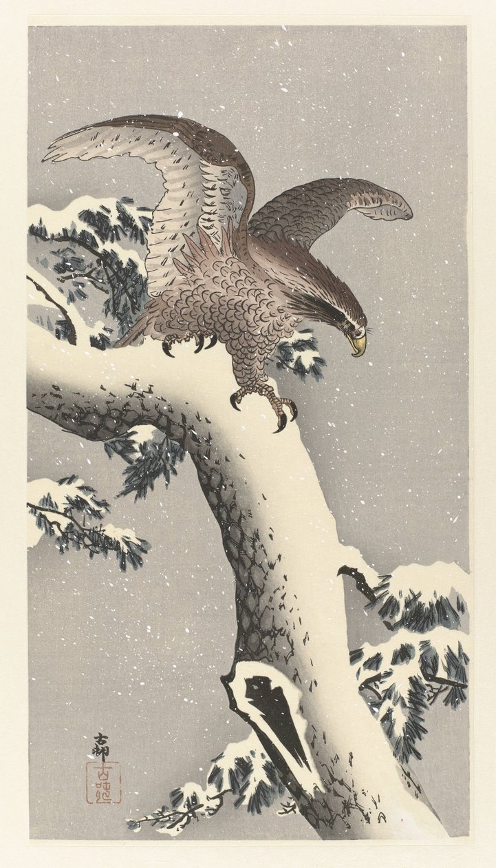 Karlı çam ağacı üzerinde kartal by Ohara Koson