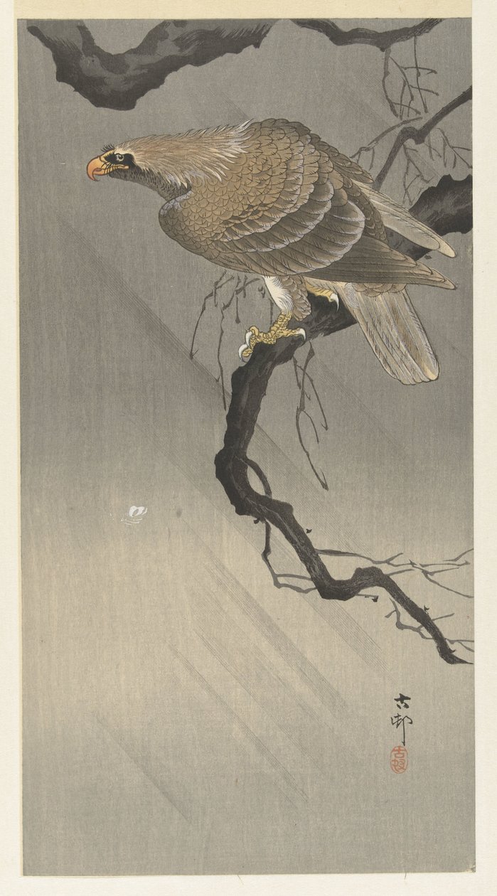 dalda kartal by Ohara Koson