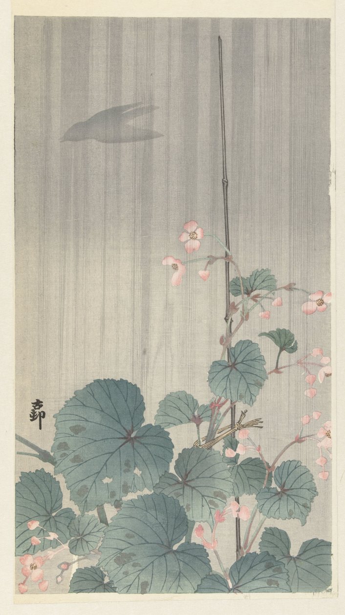 yağmurda begonya by Ohara Koson
