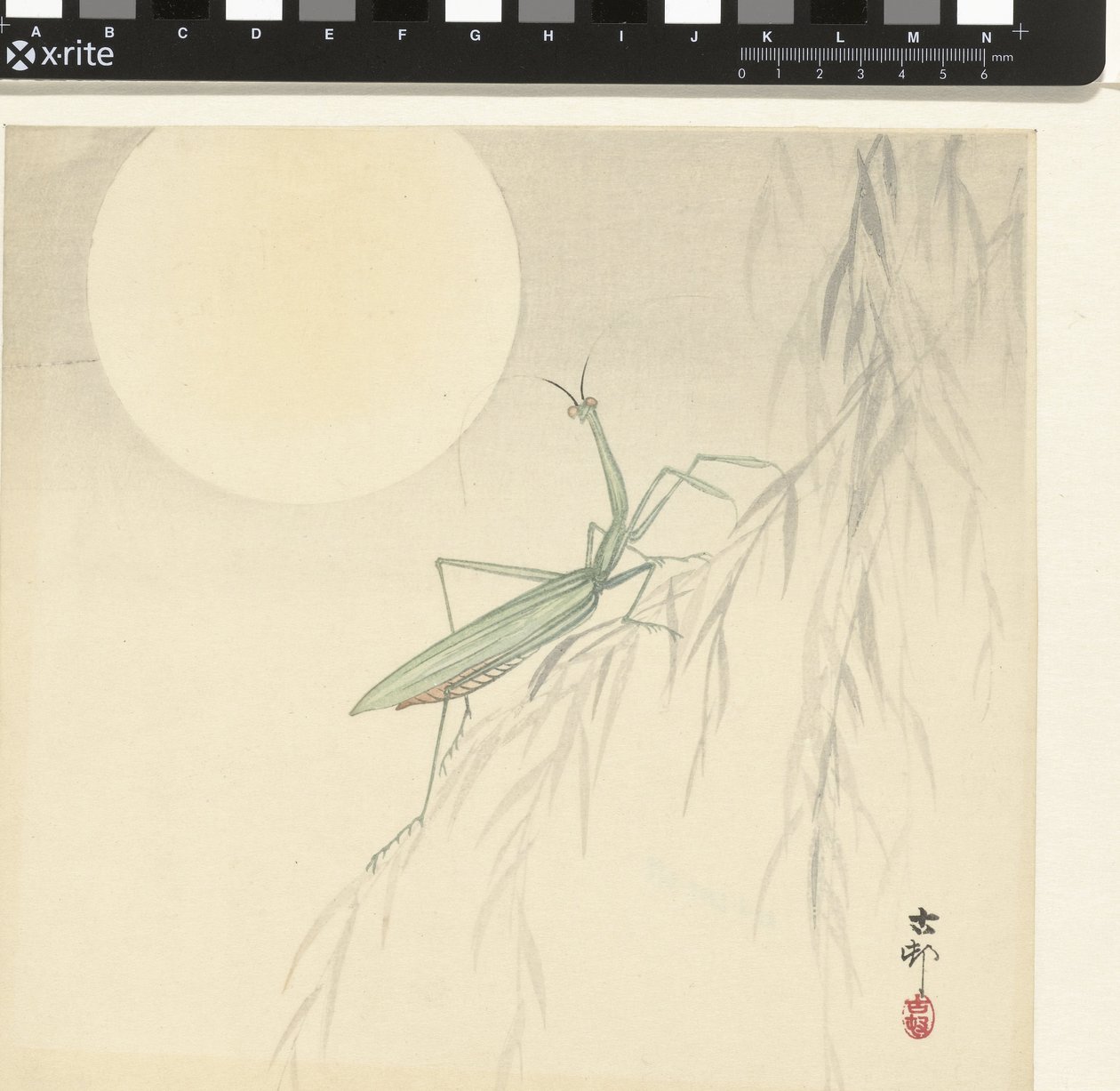 Peygamber Devesi by Ohara Koson